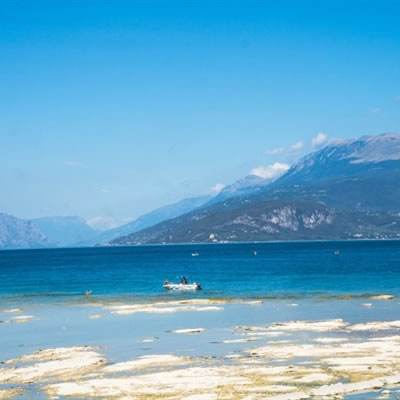 beat365手机版官方网站