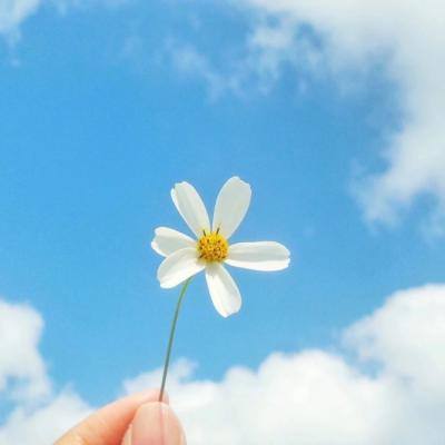 幸运彩票下载手机版