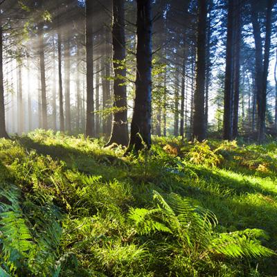 乐鱼官方-登录入口