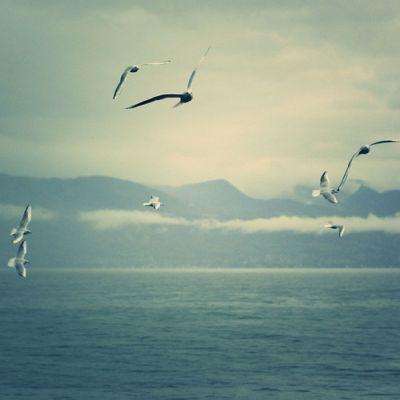 乐鱼官方-登录入口截图