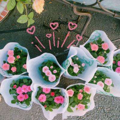 开云体云appapp下载