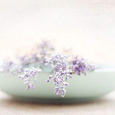 新澳门游戏网站入口app下载